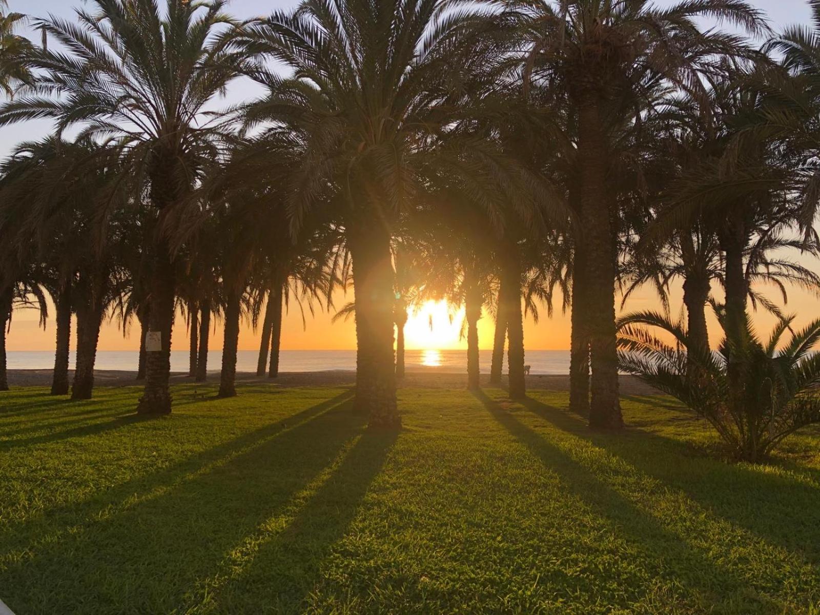 Apartamento Playamar - Torremolinos Primera Linea Playa Eksteriør bilde